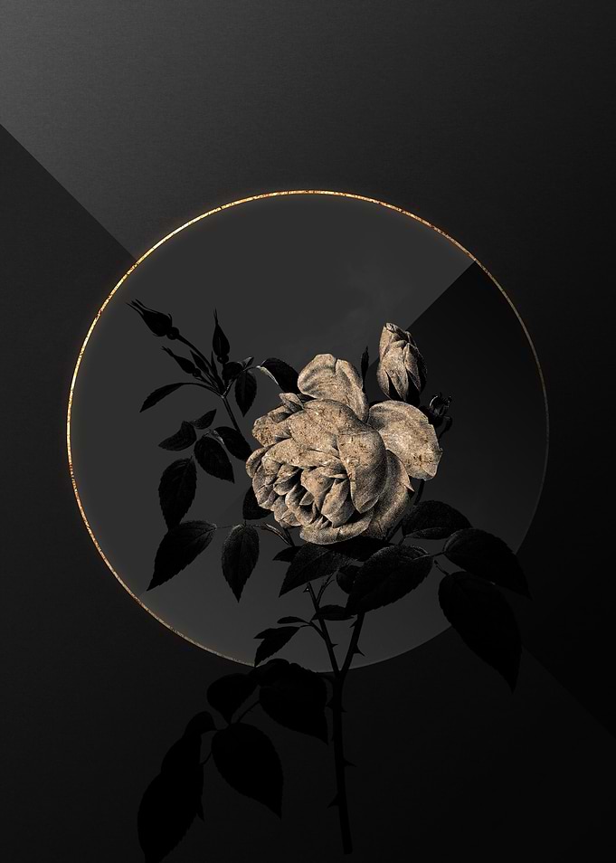 Shadow Rose Black and Gold