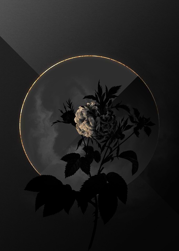 Shadow Rose Black and Gold