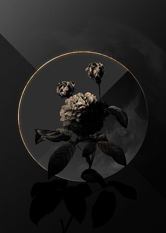Shadow Rose Black and Gold