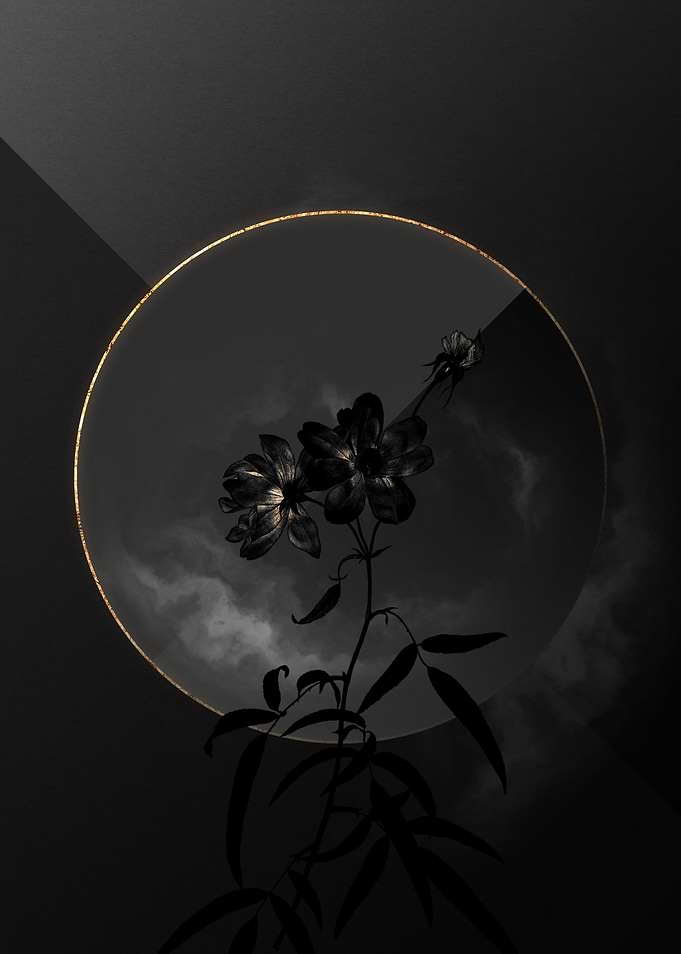 Shadow Rose Black and Gold