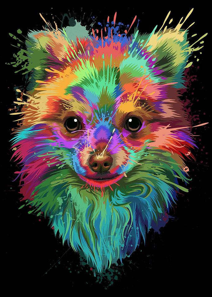 Pomeranian Splash Art