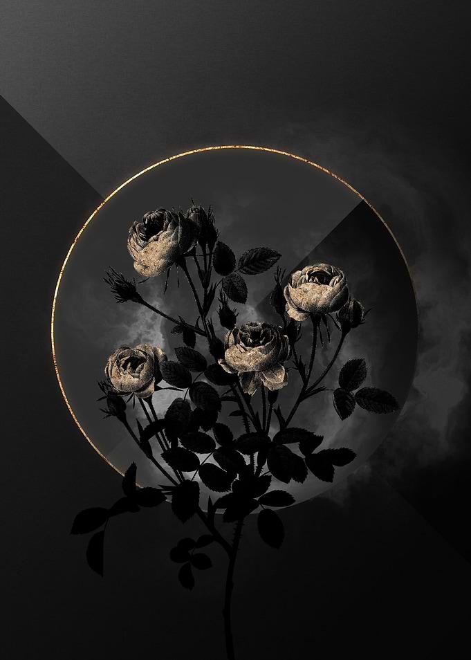 Shadow Rose Black and Gold