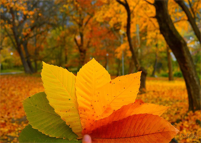 Nature