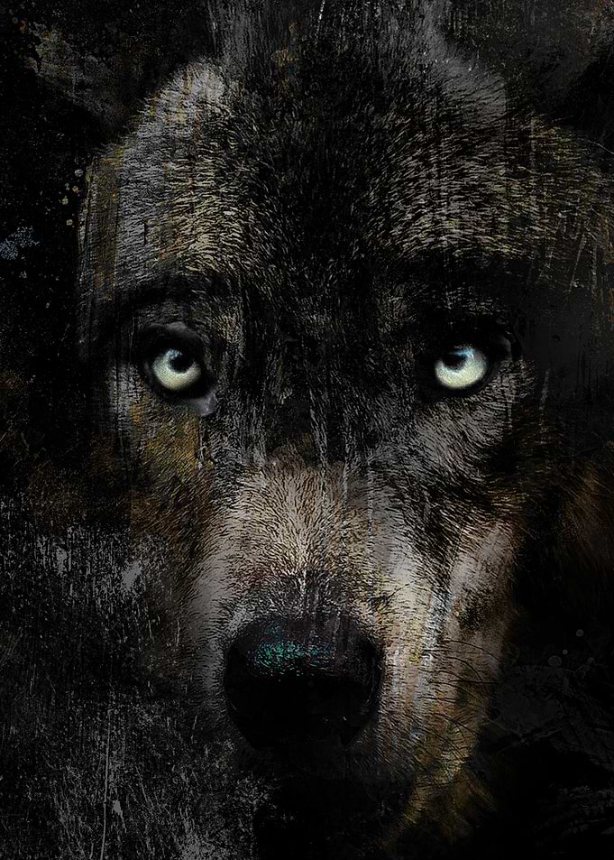 Bear