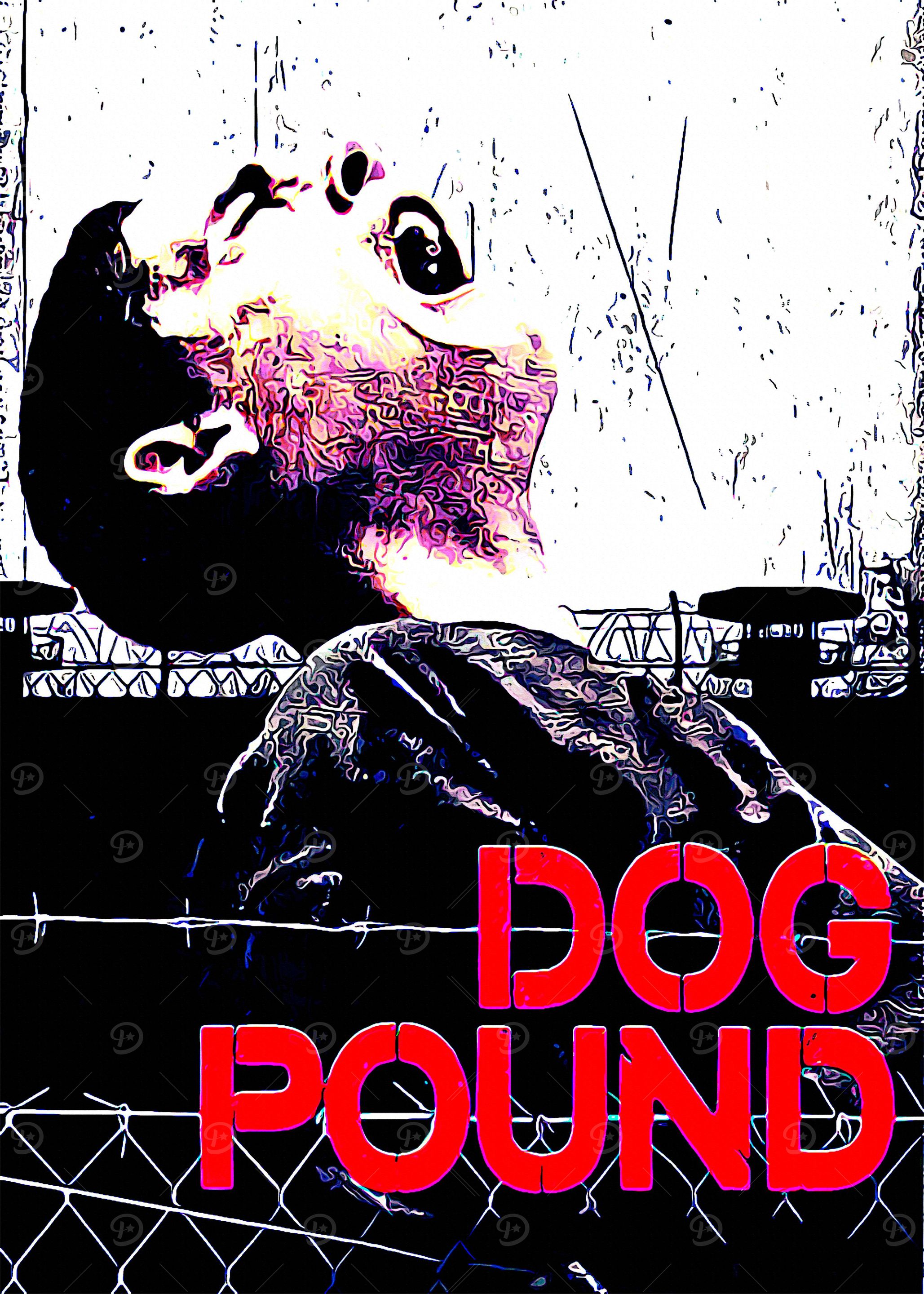 Dog Pound