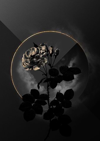 Shadow Rose Black and Gold