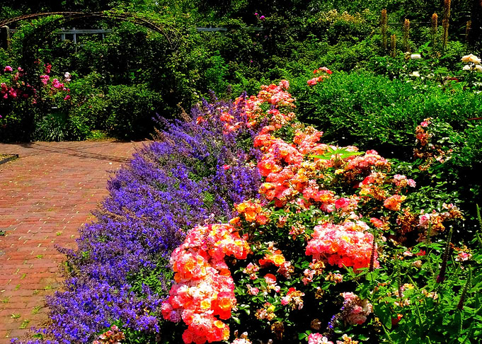 Nature