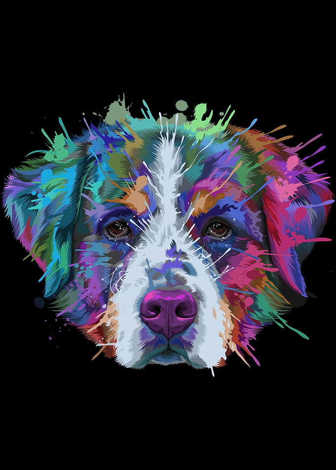 Bernese Mountain Dog Art