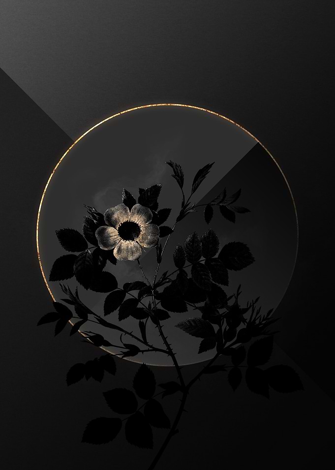 Shadow Rose Black and Gold