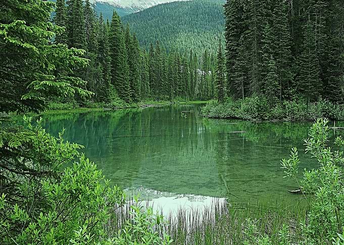 Nature