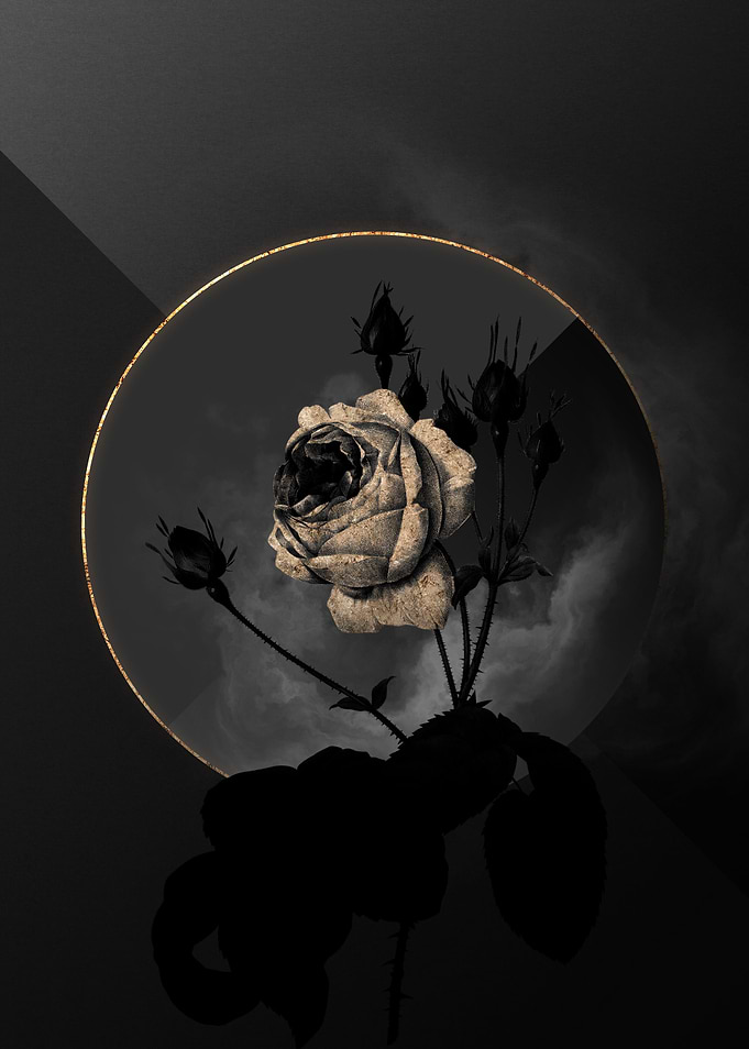 Shadow Rose Black and Gold