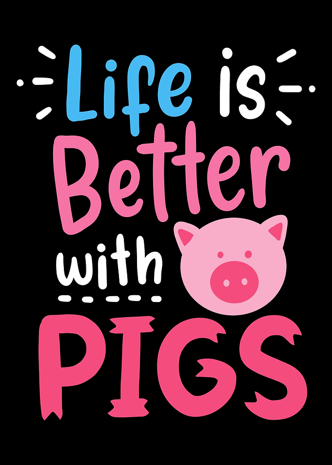 Pigs Farmer Farming