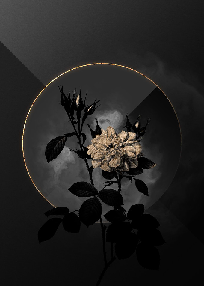 Shadow Rose Black and Gold