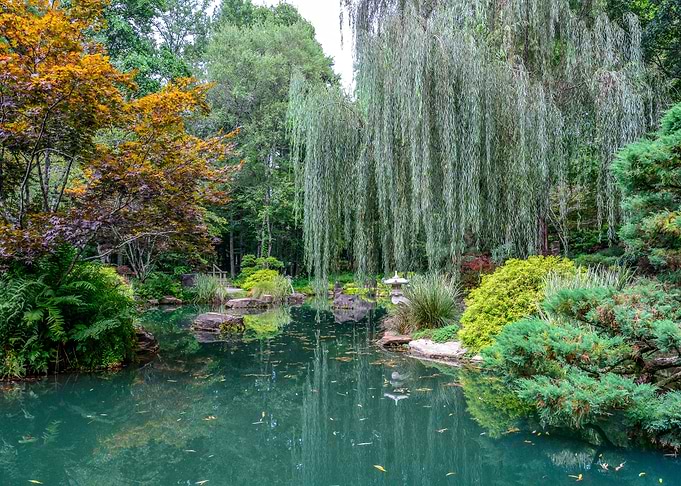 Nature