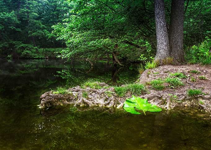 Nature