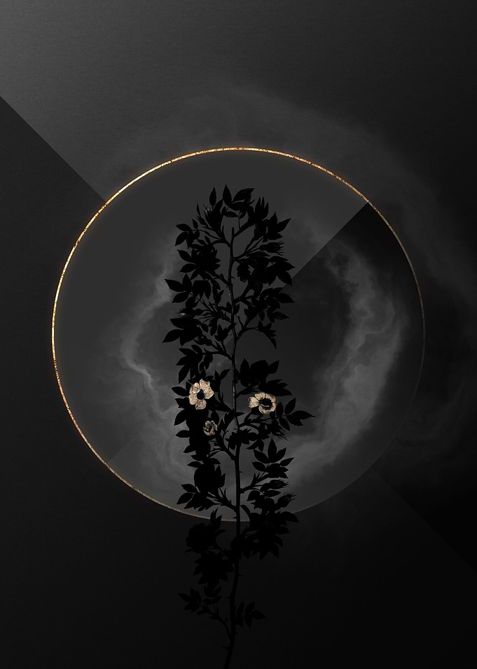 Shadow Rose Black and Gold