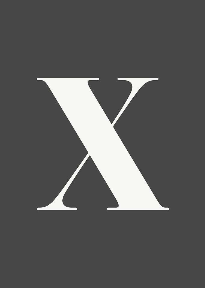 Grey Letter X Print