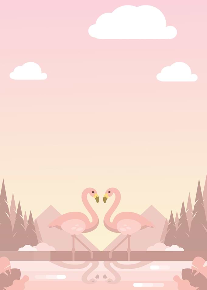 Flamingo Birds