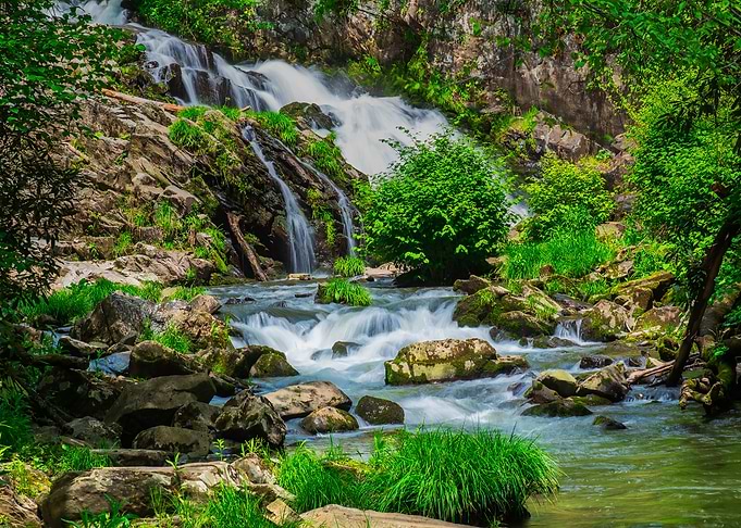 Nature