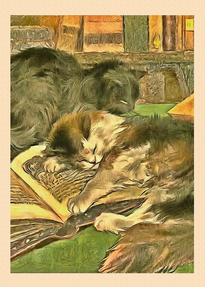 Vintage Cat Art Picture