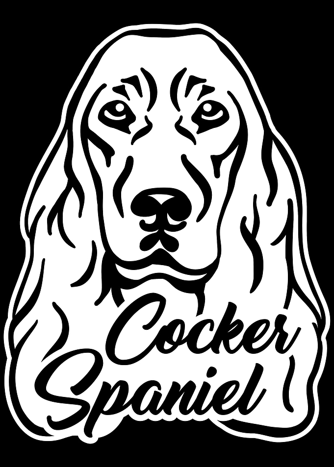 Cocker Spaniel