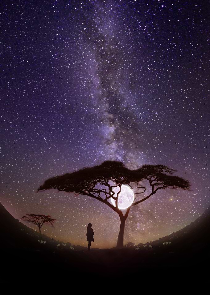 Starry Sky Tree at Moon