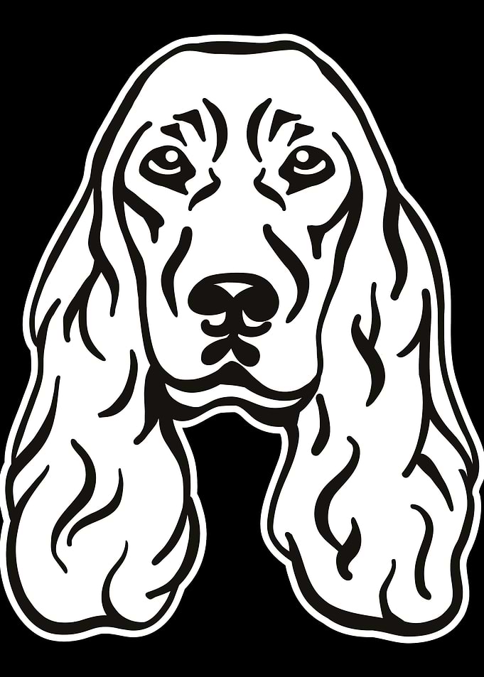 Cocker Spaniel