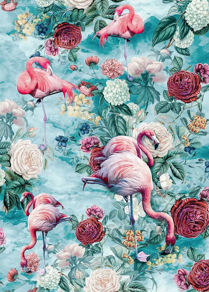 Flamingos II