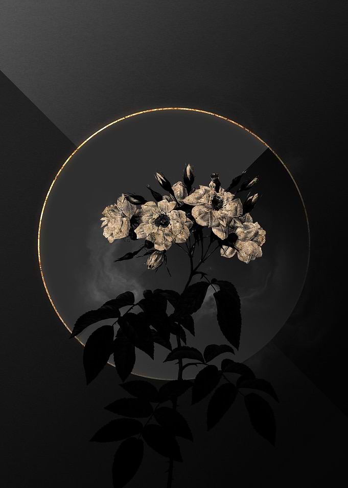 Shadow Rose Black and Gold