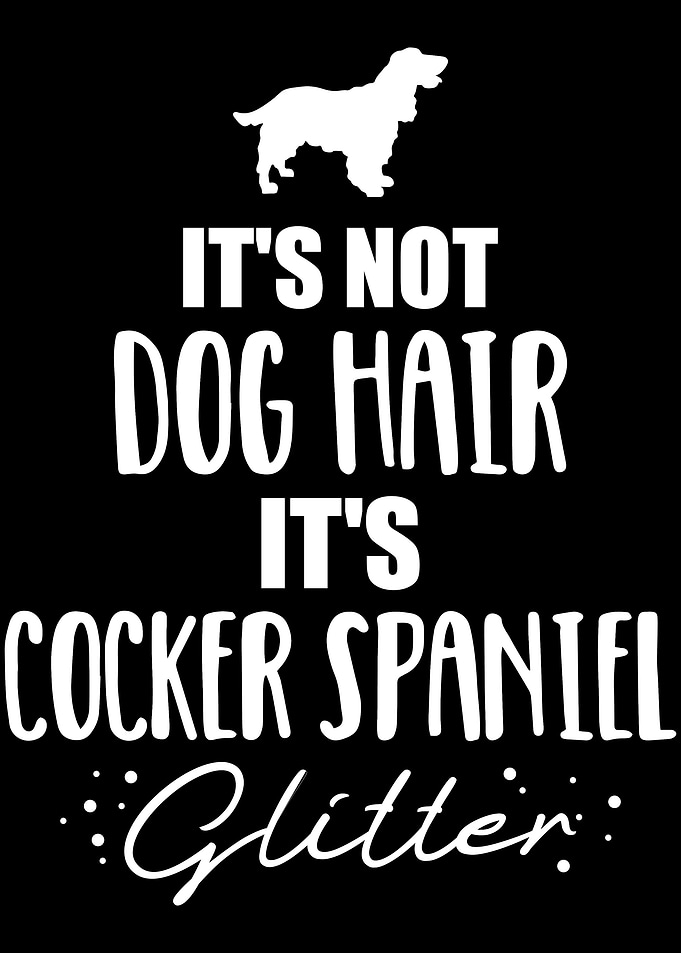 Cocker Spaniel