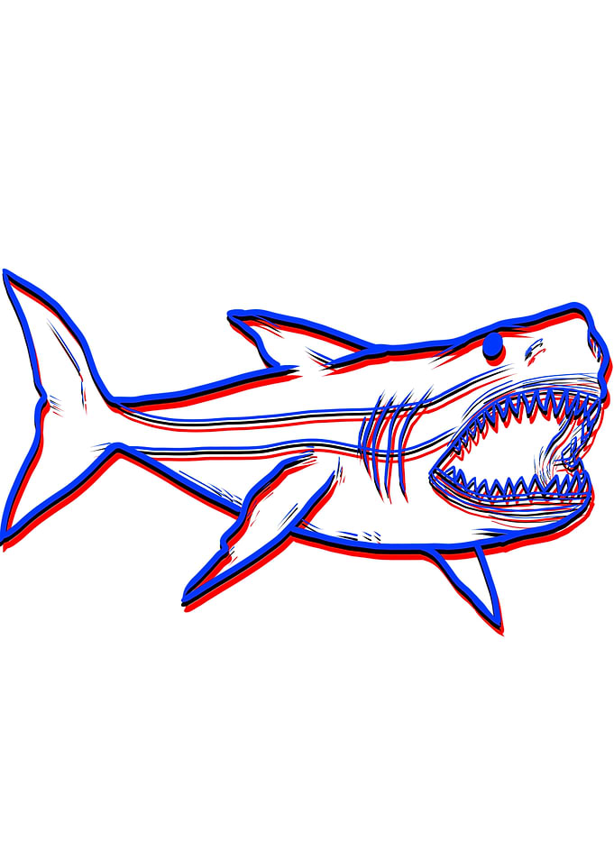 Shark