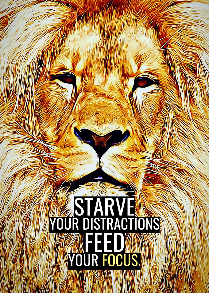Feed your Focus
