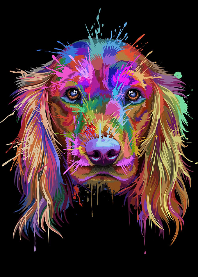 Cocker Spaniel Splash