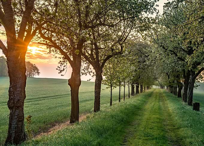 Nature