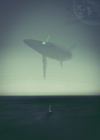 Whales Sky