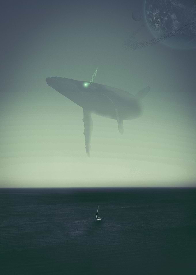 Whales Sky