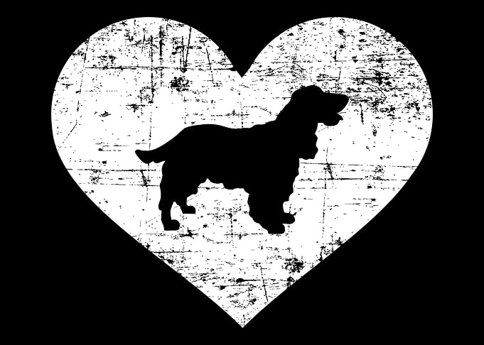 Cocker Spaniel