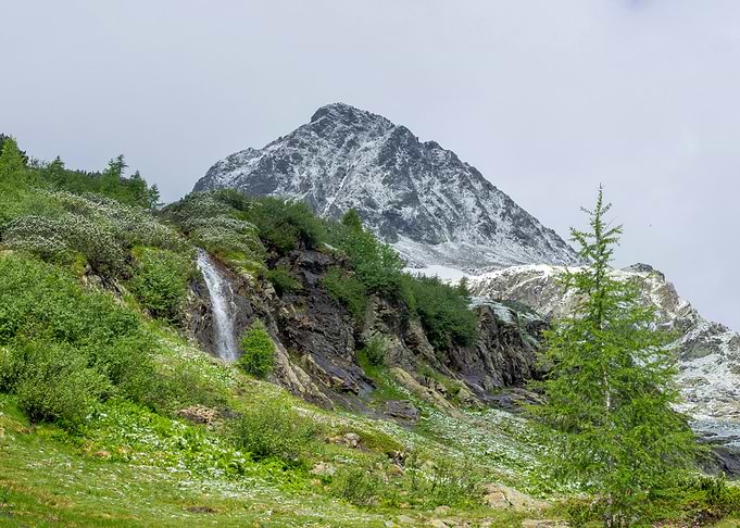 Nature