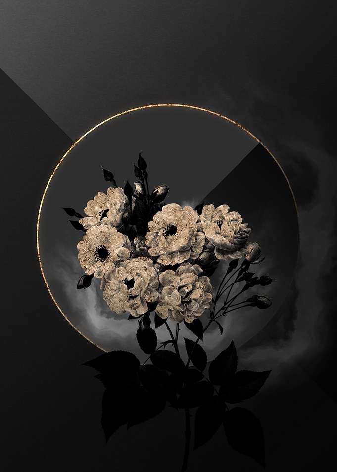 Shadow Rose Black and Gold