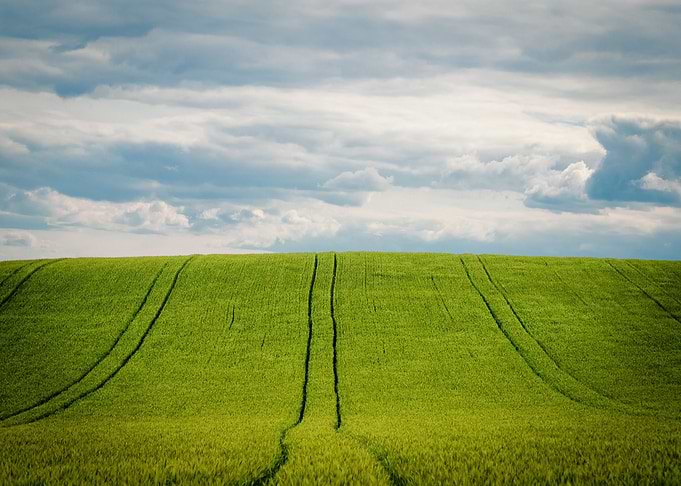 Gras Landscape