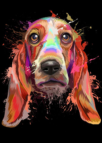 Basset Hound Splash