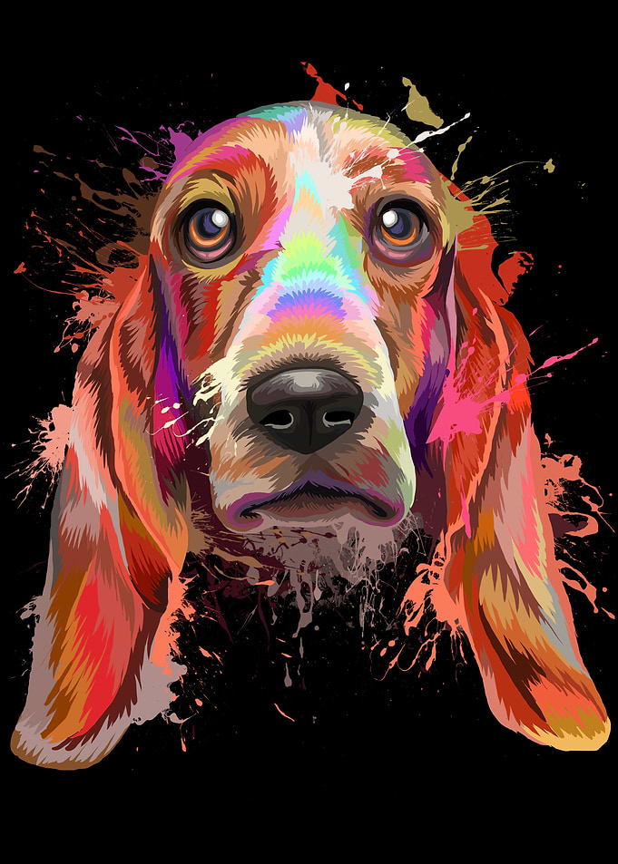 Basset Hound Splash