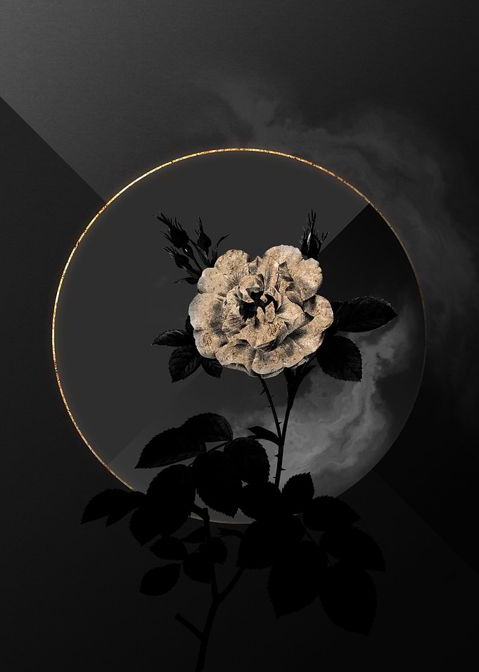 Shadow Rose Black and Gold