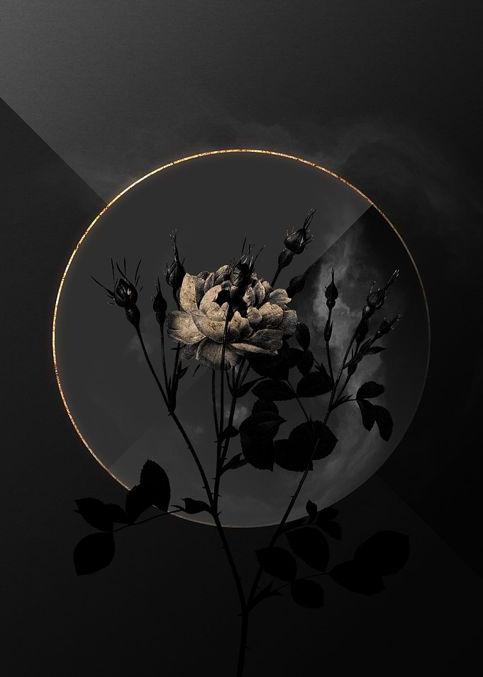Shadow Rose Black and Gold