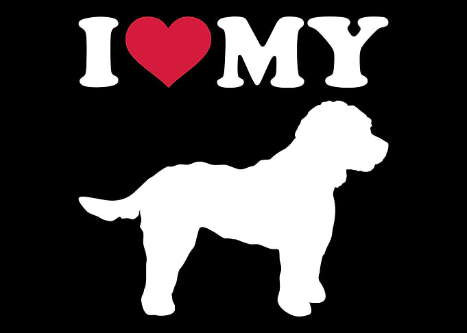 Cockapoo