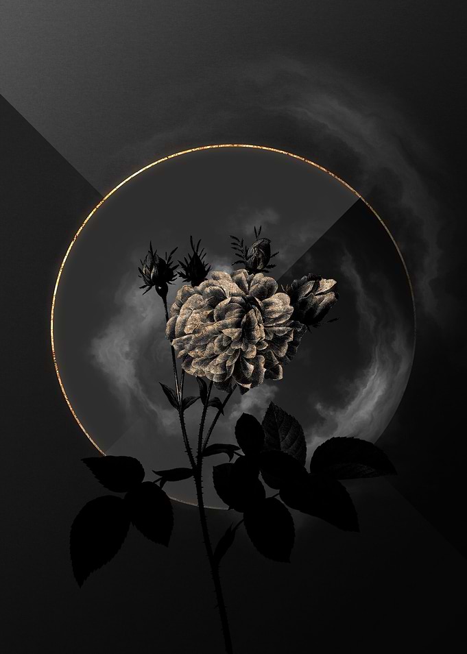 Shadow Rose Black and Gold