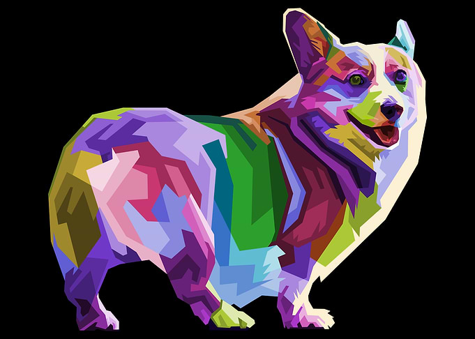 corgi dog