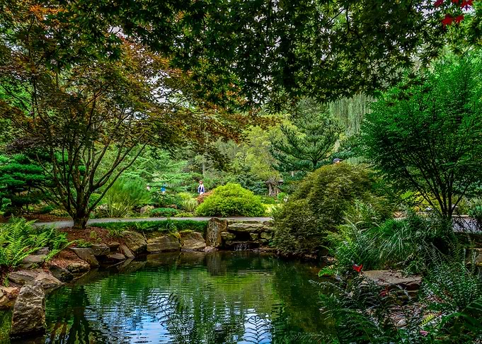 Nature