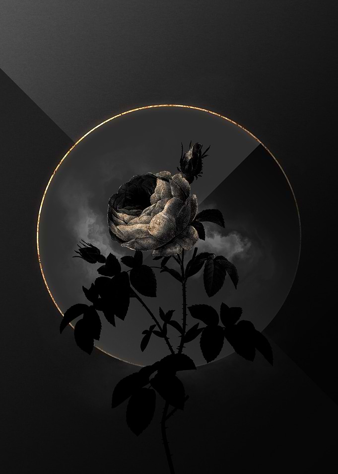 Dark Roses Black and Gold
