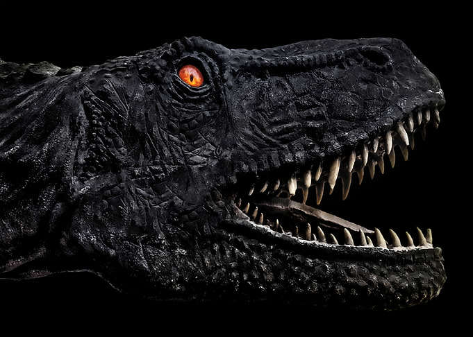 Trex Dinosaur Head Dark Po